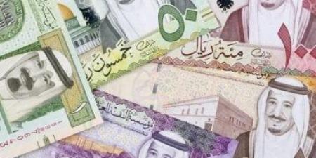 سعر الريال السعودى أمام الجنيه اليوم السبت 23-11-2024 - الآن نيوز